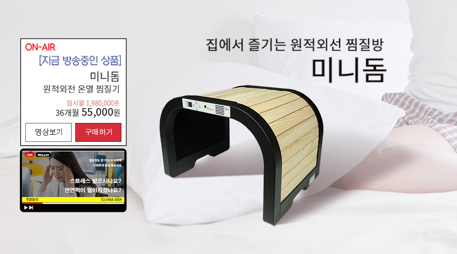 미니돔