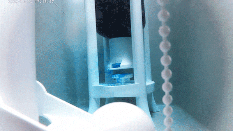 0a3d16bc6818a1b48ecf2cbce3f262e1_1635830576_9508.gif