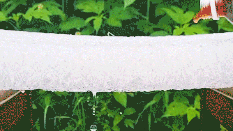 7841080844d1997402f54d90ebd976ad_1635902260_0867.gif