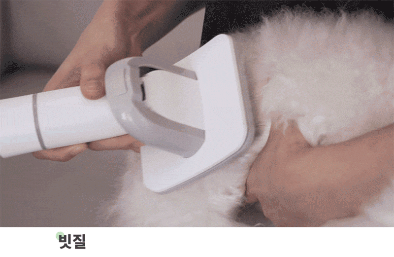 3b2fbd4a918ed3ec29c476cd8b6de447_1644287326_9377.gif