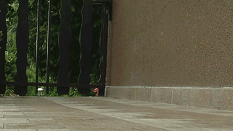 3b2fbd4a918ed3ec29c476cd8b6de447_1644287333_3378.gif