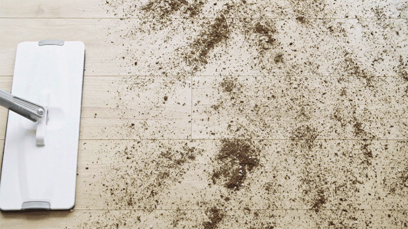 5ca0a3e1f07155e846173552c17c2923_1645162939_1187.gif