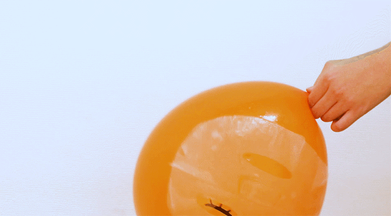 a0d77a43aed60f7d442397fb4155a225_1644802927_8843.gif