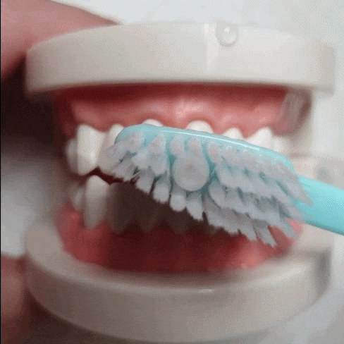 fec790682b10c242e3735ee882293f25_1643936163_5469.gif