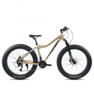 [km]2021 지오닉스 코난트 FAT BIKE F900 27단 26인치