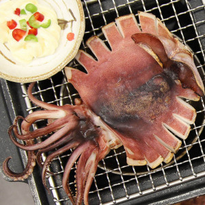 [km][C12-109]건조도 아닌것이, 반건조도 아닌것이~ 촉촉하고 쫄깃한 자숙 찜 오징어 1kg