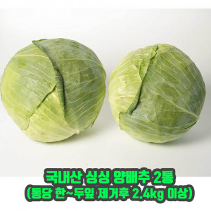 [km]국내산 싱싱 양배추 2통(통당 한~두잎 제거후 2.4kg 이상)