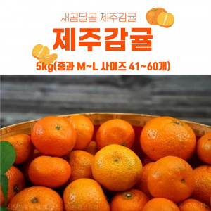 [km]서귀포 햇 감귤 5kg(중과 M~L 사이즈 41~60개)