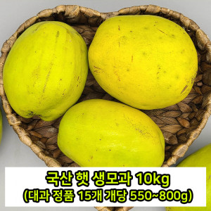 [km]산 햇 생모과 10kg(대과 정품 15개 개당 550~800g)