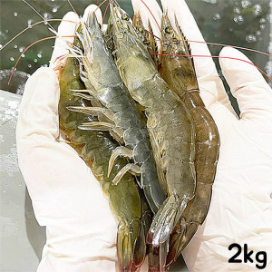 [km]미각기행 더줌 흰다리새우 (32미 내외) 2kg 산지직송