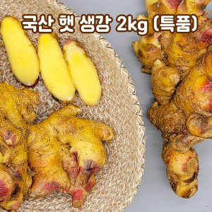 [km]국산 햇 생강 2kg(특품)