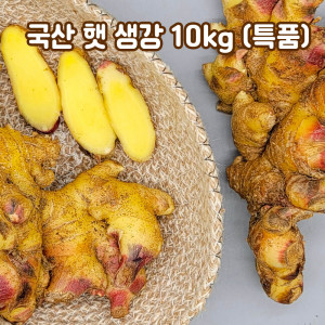 [km]국산 햇 생강 10kg(특품)