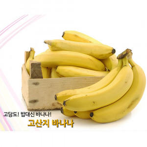 [km][수입과일] 달콤한 바나나 12과 16kg