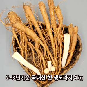 [km]2~3년키운 국내산 햇 생도라지 4kg