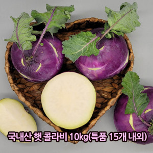 [km]국내산 햇 콜라비 10kg(특품 15개 내외)