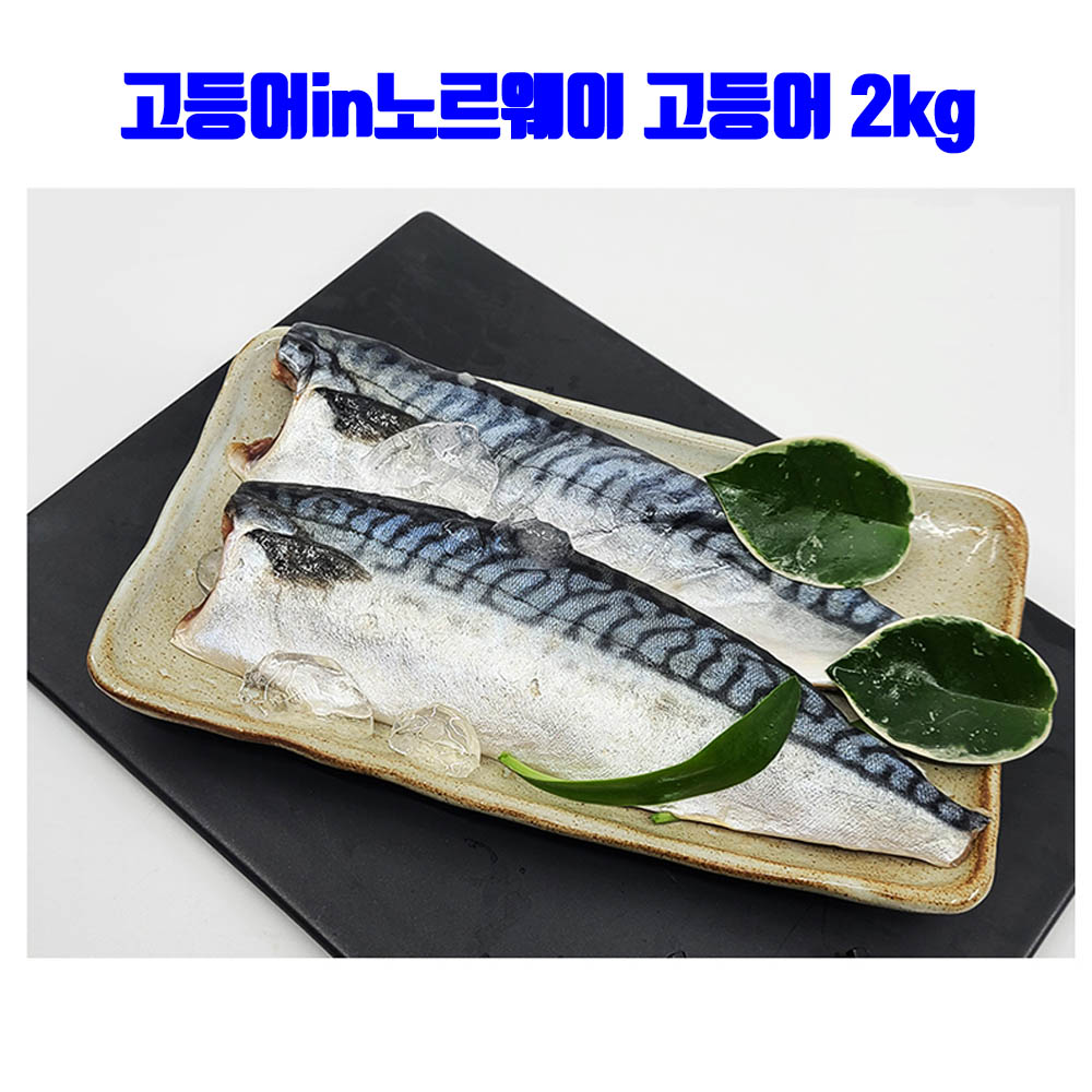 [km]고등어in노르웨이 고등어 2kg