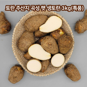 [km]토란 주산지 곡성 햇 생토란 3kg(특품)