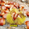 [km]2021년 공주햇밤 2kg(특대)