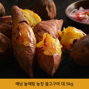 [km]해남 늘해랑 농장 햇꿀밤고구마 대 5kg(300g이상)