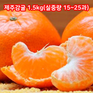 [km][아이스박스+팩 동봉] 제주감귤 1.5kg(실중량 15~25과)