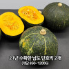 [km]21년 수확한 남도 단호박 2개(개당 850~1200g)