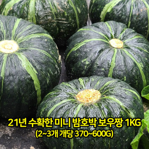 [km]21년 수확한 미니 밤호박 보우짱 1kg(2~3개 개당 370~600g)