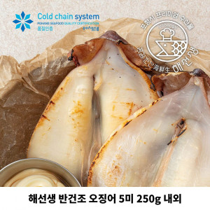 [km]해선생 반건조 오징어 5미 250g 내외 (원양산)