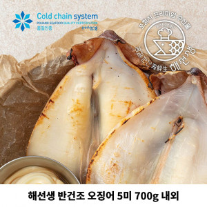 [km]해선생 반건조 오징어 5미 700g 내외 (원양산)