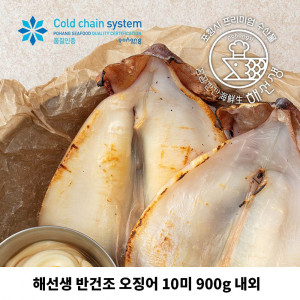[km]해선생 반건조 오징어 10미 900g 내외 (원양산)