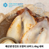 [km]해선생 반건조 오징어 10미 1.4kg 내외 (원양산)