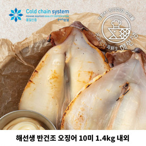 [km]해선생 반건조 오징어 10미 1.4kg 내외 (원양산)