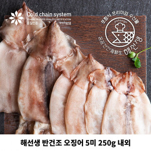 [km]해선생 반건조 오징어 5미 250g 내외 (국내산)