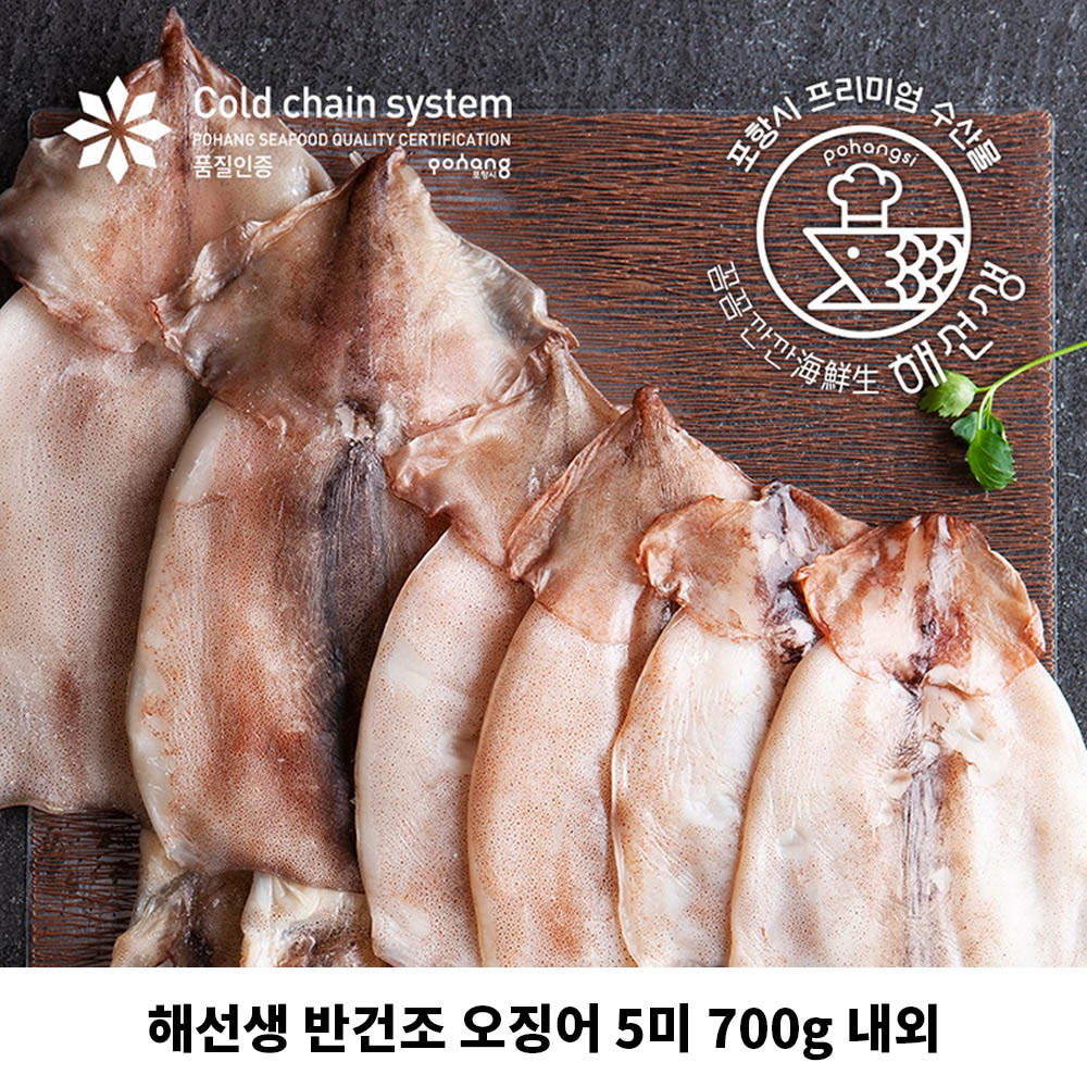 [km]해선생 반건조 오징어 5미 700g 내외 (국내산)