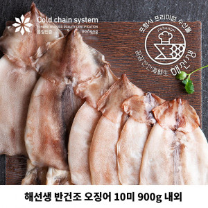[km]해선생 반건조 오징어 10미 900g 내외 (국내산)
