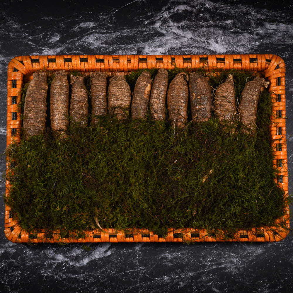 [km]자연맛집 더덕 프리미엄 특상 선물세트(더덕 특상 500g) / 고급포장