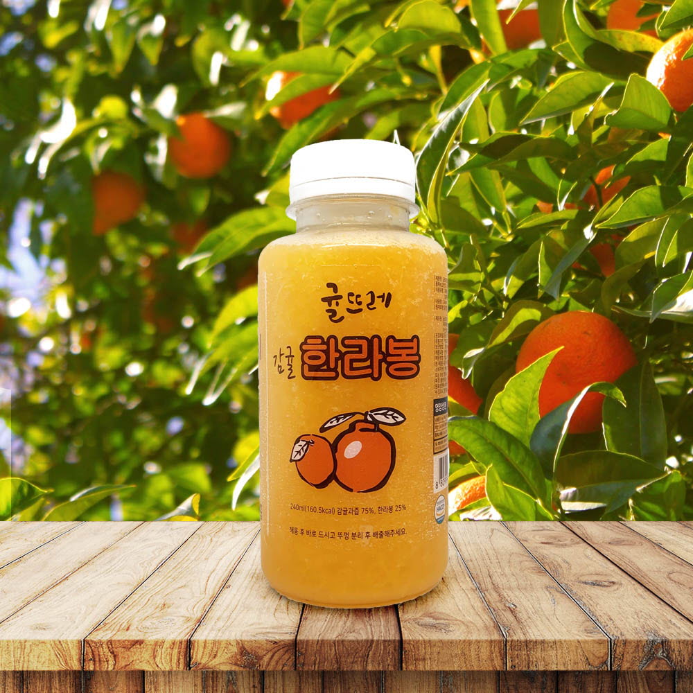 [km]귤뜨레 착즙 제주 한라봉 감귤주스 240ml 14개입
