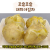 [km][품질보장] 대지마 포슬포슬 햇 감자 3kg (큰대 개당 160~220g)