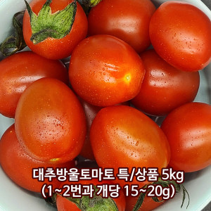 [km]대추방울토마토 특/상품 5kg(1~2번과 개당 15~20g)