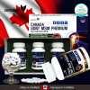 [km]뉴프리 캐나다 관절 MSM 프리미엄  (2030mg x 30정 x3병)
