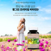 [km]팜그린 프리미엄 비타민D 300mg x 180캡슐
