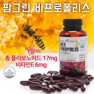 [km]팜그린 비 프로폴리스 1,000mg x 90캡슐