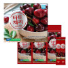 [km]김포파주인삼농협 타트체리 젤리스틱 20g x 30포 (선물용포장지포함)
