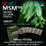 [km]아리바이오 MSM100 (엠에스엠100) 500ml*60T(30g)