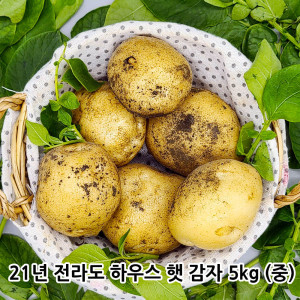 [km]21년 전라도 하우스 햇 감자 5kg (중)