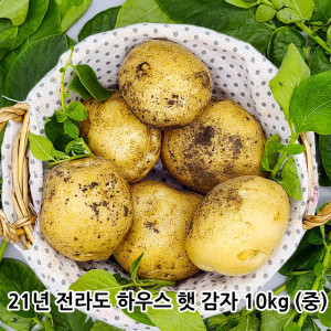 [km]21년 전라도 하우스 햇 감자 10kg (중)