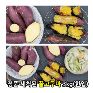 [km][비세척] 21년산 햇 꿀고구마 3kg(한입)