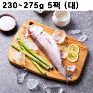 [km]해올찬 제주청정바다 옥돔 230g~275g 5팩 (대)