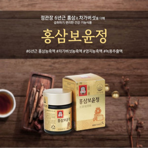 [km]정관장 홍삼보윤정 100g x 1병