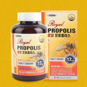 [km]캐나다 로열 프로폴리스 (500mg * 180캡슐 / 6개월分)
