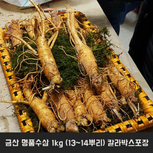 [km]금산 명품수삼 1kg (13~14뿌리) 칼라박스포장